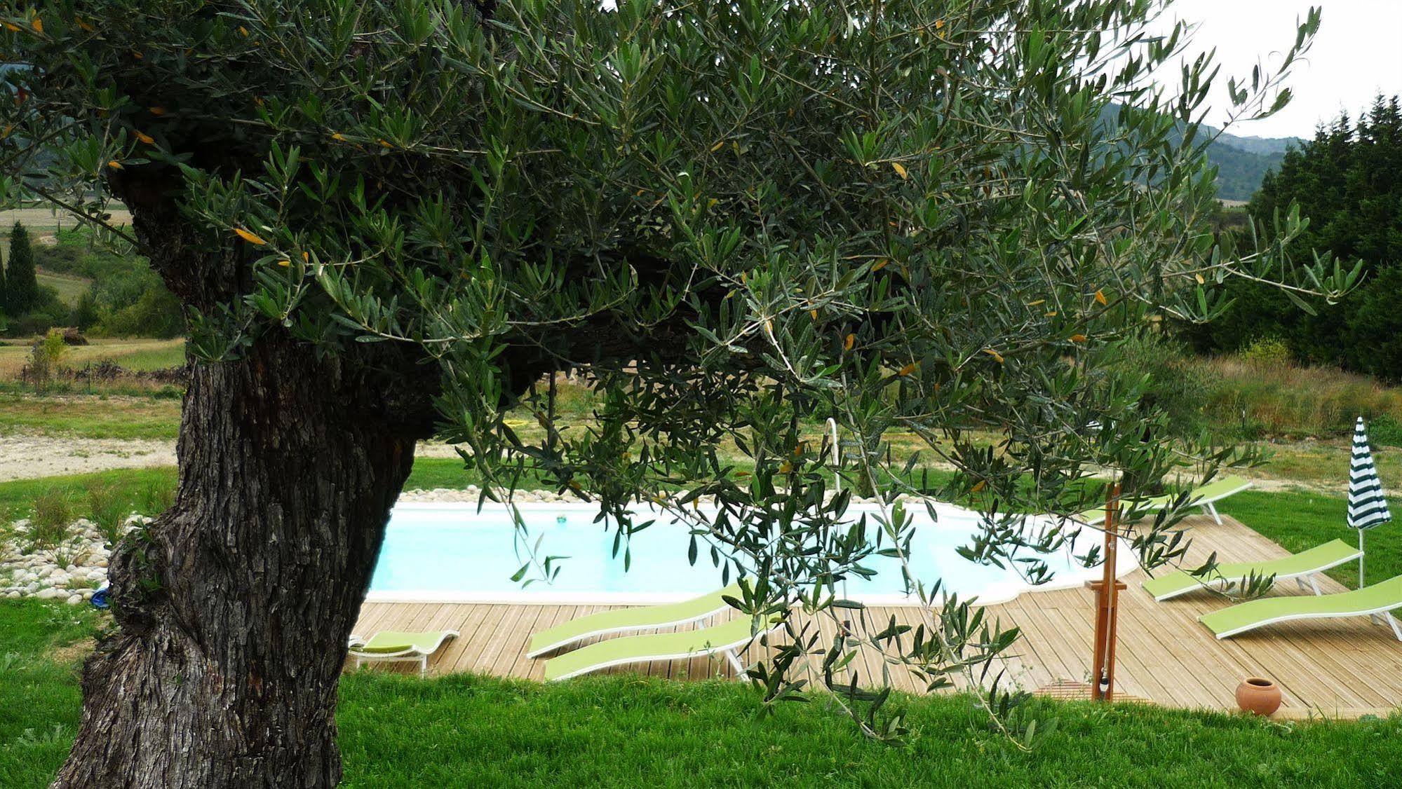 Relais De L'Alsou- Piscine Bed & Breakfast Labastide-en-Val Екстериор снимка