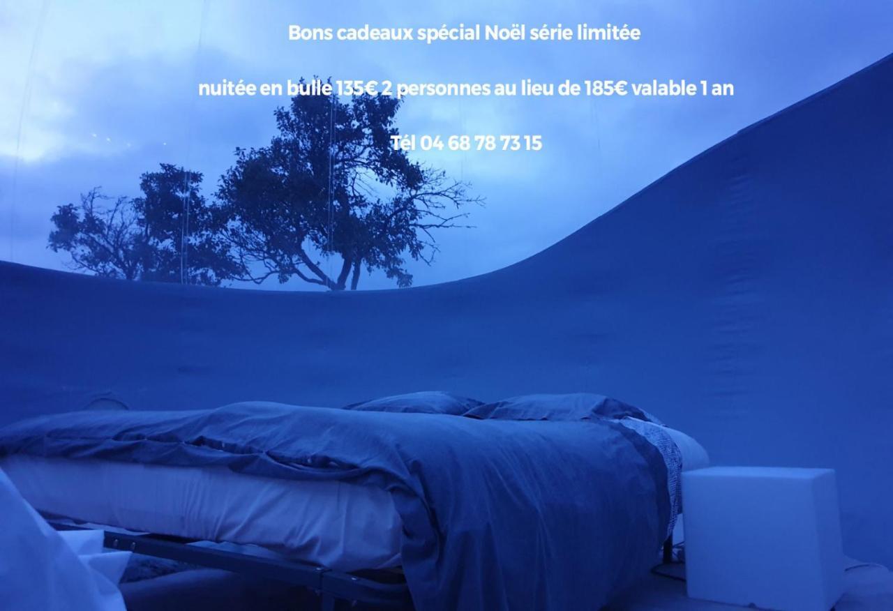 Relais De L'Alsou- Piscine Bed & Breakfast Labastide-en-Val Екстериор снимка